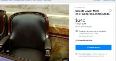 Almost unused Milei Argentine Congress chair “on sale”