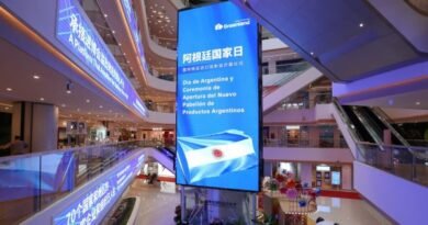 Argentine SMEs told about advantages of Shanghai Hub