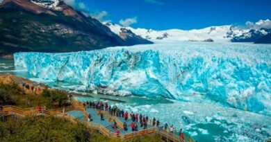 Foreign travelers flock to Argentina