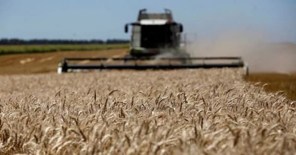 Argentina expected wheat production down drastically because of drought