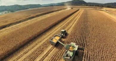 Boom year for Brazilian farmers with record soybean crop and drought punishing Argentine production