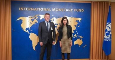 Massa and Gopinath discuss IMF flexibilization and disbursement