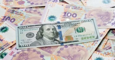 Argentina: “Blue” Dollar hits new ceiling of AR$ 408