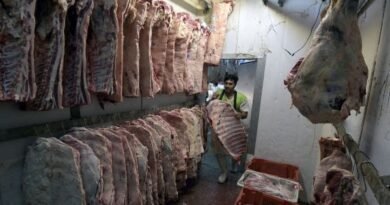 Mercosur members, Argentina, Uruguay, Paraguay expected a decrease in 2023 beef exports, USDA