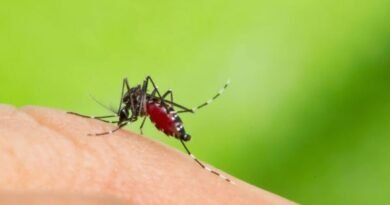 Dengue positive cases in Argentina double in a week