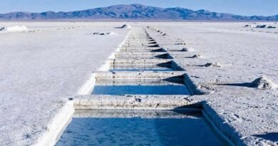 Argentine deputies want lithium nationalized