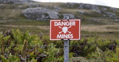 Falklands: mines discovered on a beach in Murrell Peninsula, north of Stanley