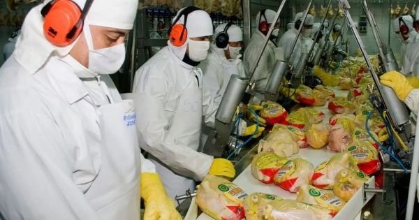 Japan reopens door to Argentine poultry products