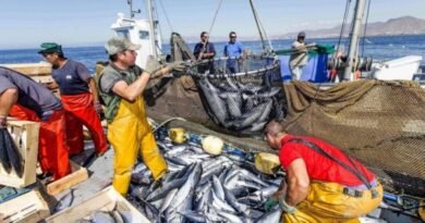 Spain urges reconsideration of argentine fisheries measures by President Milei