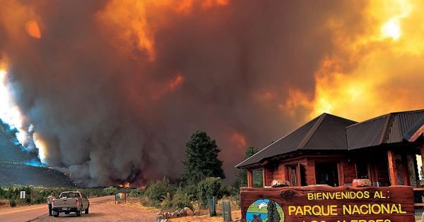 Mapuche Resistance behind National Park fire, Chubut governor says