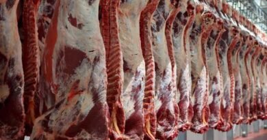 Argentina lifts restrictions on beef exports