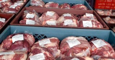 Argentina exported 682,000 tons of beef last year, mostly to China