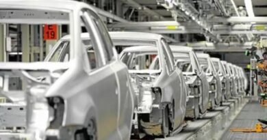 Car production in Argentina falls in January